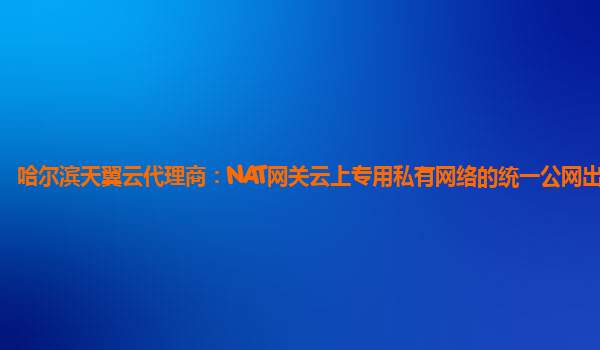 哈尔滨天翼云代理商：NAT网关云上专用私有网络的统一公网出口网关