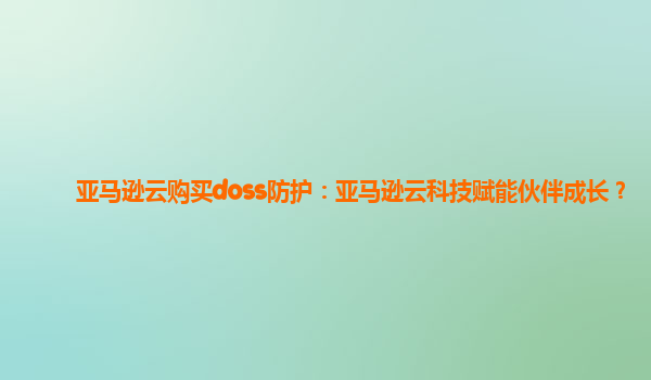 亚马逊云购买doss防护：亚马逊云科技赋能伙伴成长？