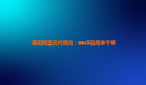 襄阳阿里云代理商：ascii码用来干嘛