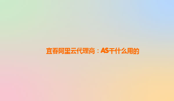 宜春阿里云代理商：AS干什么用的