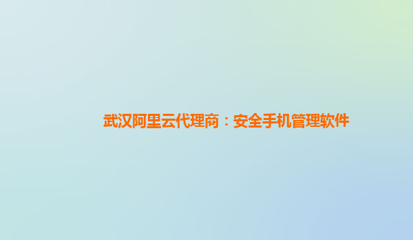 武汉阿里云代理商：安全手机管理软件