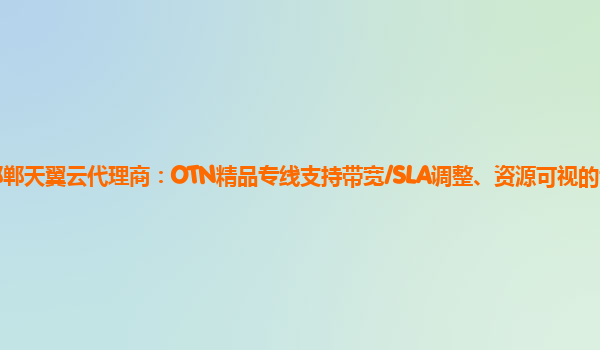 邯郸天翼云代理商：OTN精品专线支持带宽/SLA调整、资源可视的专线产品