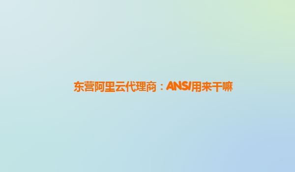 东营阿里云代理商：ANSI用来干嘛