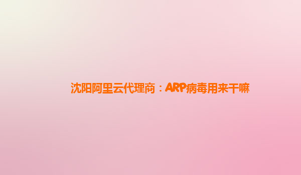 沈阳阿里云代理商：ARP病毒用来干嘛