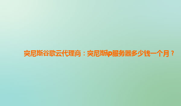 突尼斯谷歌云代理商：突尼斯ip服务器多少钱一个月？