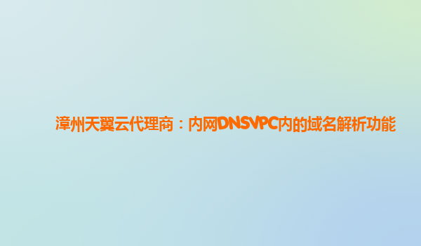 漳州天翼云代理商：内网DNSVPC内的域名解析功能