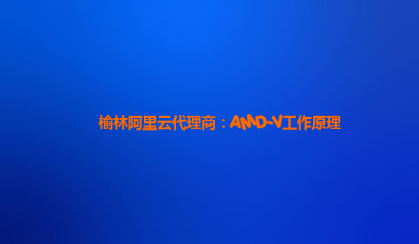 榆林阿里云代理商：AMD-V工作原理