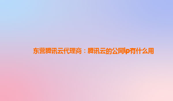 东营腾讯云代理商：腾讯云的公网ip有什么用