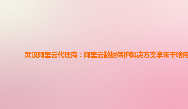 武汉阿里云代理商：阿里云数据保护解决方案拿来干啥用