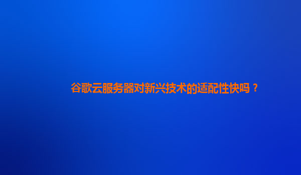 谷歌云服务器对新兴技术的适配性快吗？