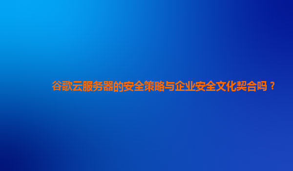谷歌云服务器的安全策略与企业安全文化契合吗？