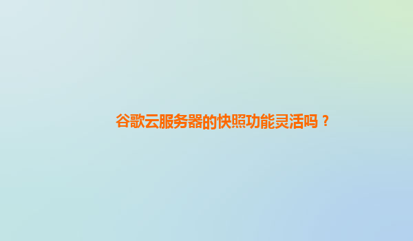 谷歌云服务器的快照功能灵活吗？