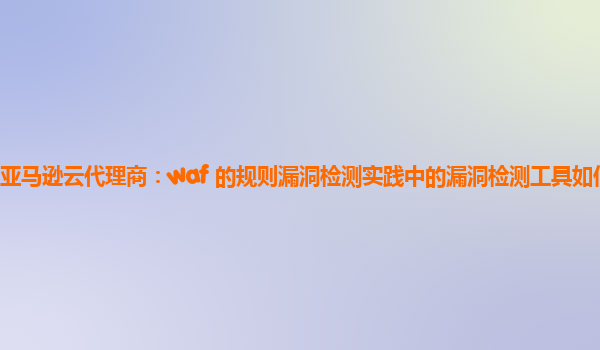 亚马逊云代理商：waf 的规则漏洞检测实践中的漏洞检测工具如何选择？