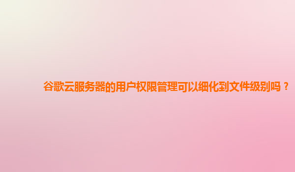 谷歌云服务器的用户权限管理可以细化到文件级别吗？