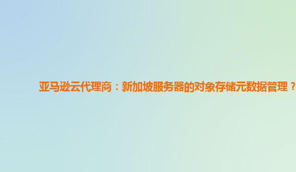 亚马逊云代理商：新加坡服务器的对象存储元数据管理？