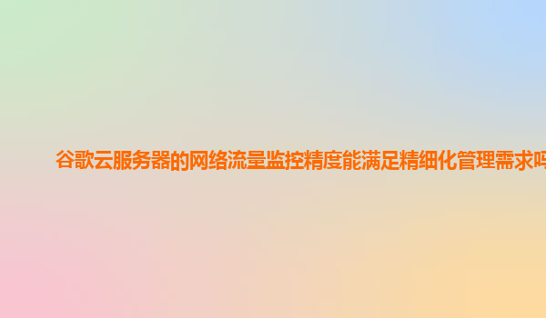 谷歌云服务器的网络流量监控精度能满足精细化管理需求吗？