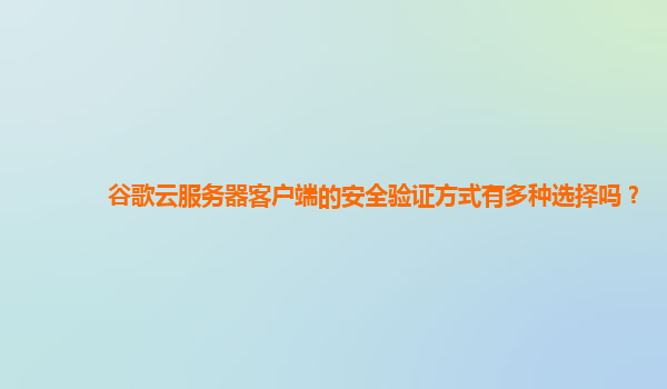 谷歌云服务器客户端的安全验证方式有多种选择吗？