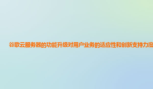 谷歌云服务器的功能升级对用户业务的适应性和创新支持力度好吗？
