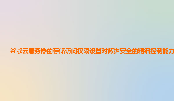 谷歌云服务器的存储访问权限设置对数据安全的精细控制能力如何？