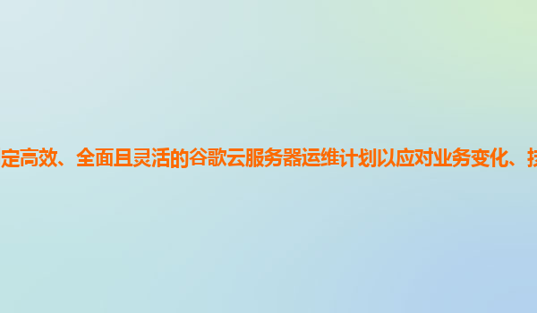 如何制定高效、全面且灵活的谷歌云服务器运维计划以应对业务变化、技术更新和突发情况？