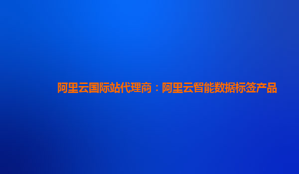 阿里云国际站代理商：阿里云智能数据标签产品
