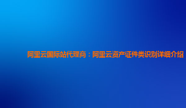 阿里云国际站代理商：阿里云资产证件类识别详细介绍