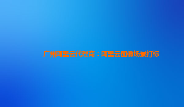 广州阿里云代理商：阿里云图像场景打标