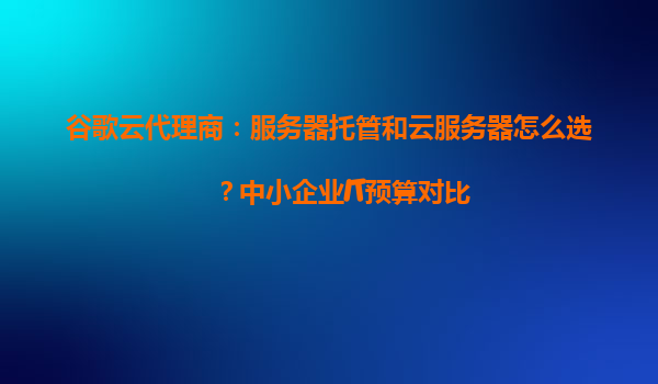 谷歌云代理商：服务器托管和云服务器怎么选？中小企业IT预算对比