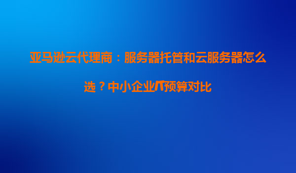 亚马逊云代理商：服务器托管和云服务器怎么选？中小企业IT预算对比