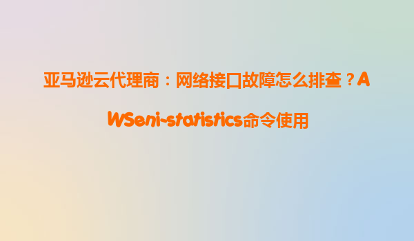 亚马逊云代理商：网络接口故障怎么排查？AWSeni-statistics命令使用
