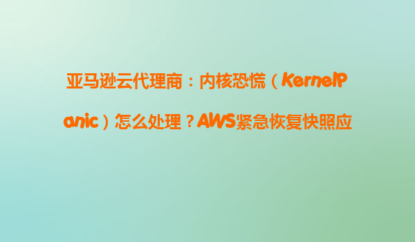 亚马逊云代理商：内核恐慌（KernelPanic）怎么处理？AWS紧急恢复快照应用