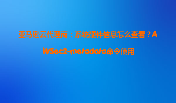 亚马逊云代理商：系统硬件信息怎么查看？AWSec2-metadata命令使用