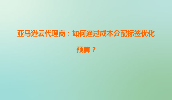 亚马逊云代理商：如何通过成本分配标签优化预算？