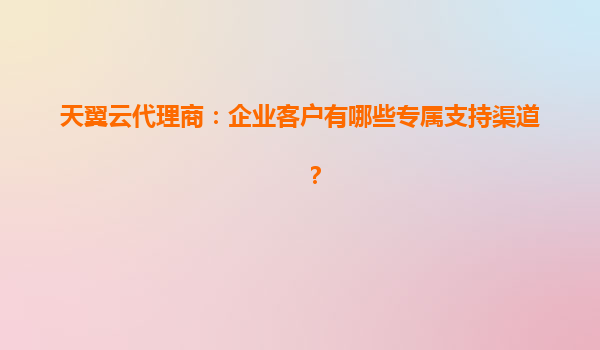 天翼云代理商：企业客户有哪些专属支持渠道？