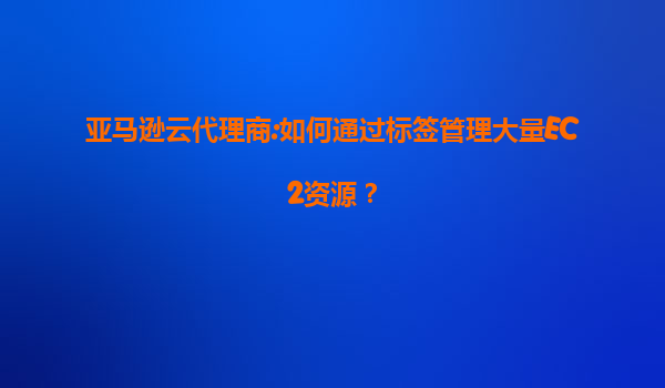 亚马逊云代理商:如何通过标签管理大量EC2资源？