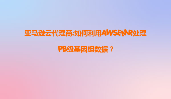 亚马逊云代理商:如何利用AWSEMR处理PB级基因组数据？