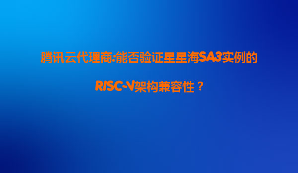 腾讯云代理商:能否验证星星海SA3实例的RISC-V架构兼容性？