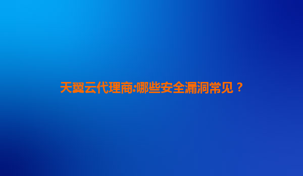 天翼云代理商:哪些安全漏洞常见？