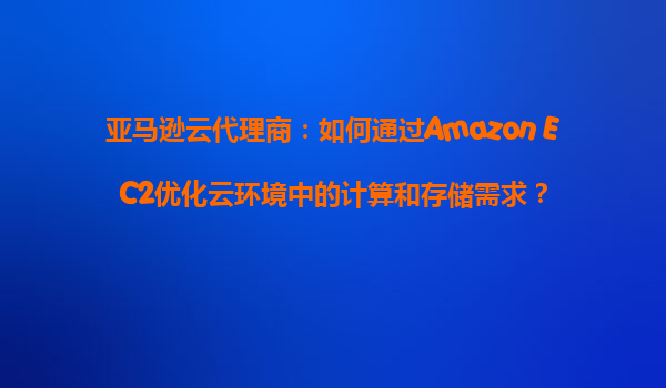 亚马逊云代理商：如何通过Amazon EC2优化云环境中的计算和存储需求？