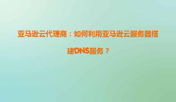 亚马逊云代理商：如何利用亚马逊云服务器搭建DNS服务？
