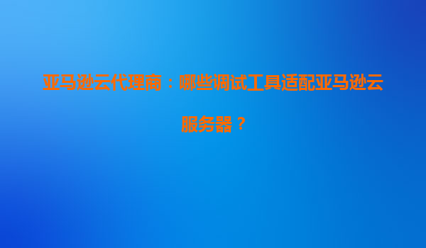 亚马逊云代理商：哪些调试工具适配亚马逊云服务器？