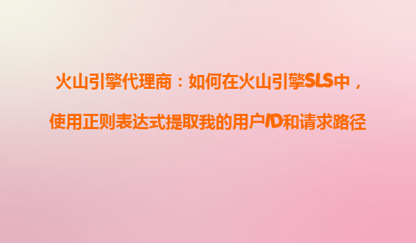 火山引擎代理商：如何在火山引擎SLS中，使用正则表达式提取我的用户ID和请求路径？