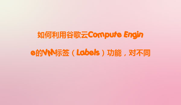 如何利用谷歌云Compute Engine的VM标签（Labels）功能，对不同业务的实例进行分类和成本追踪？